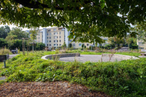 Begegnungsmitte, Garten, Garten, Garten, Zentrum Chilematt, Steinhausen